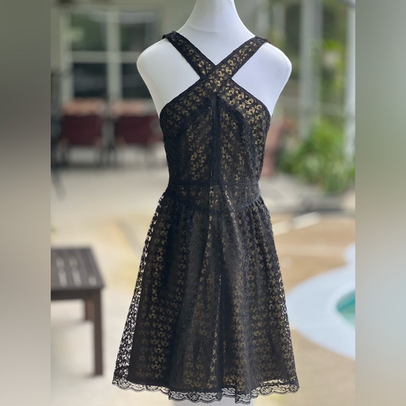 Victoria's Secret Moda International Black Gold Lace Mini Dress Size 8 New - Picture 2 of 10